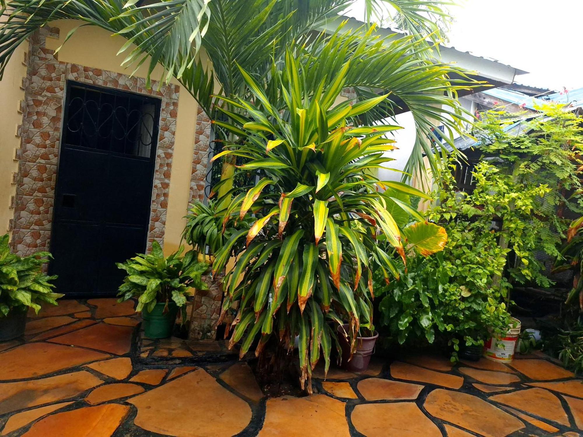 Mount Zion Guest House, Mtwapa Mtomondoni Mombasa Ngoại thất bức ảnh